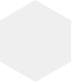 Main Image Overlay Hexagon